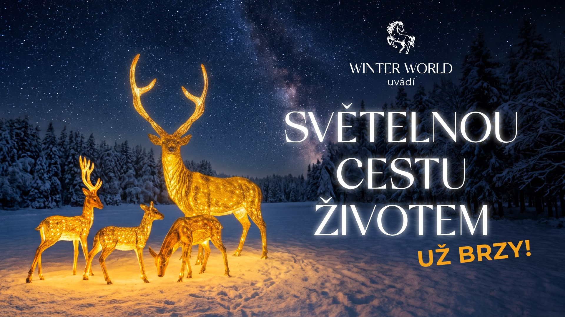 Winter World - svítící jeleni v nočním zimním lese. Něco se chystá.